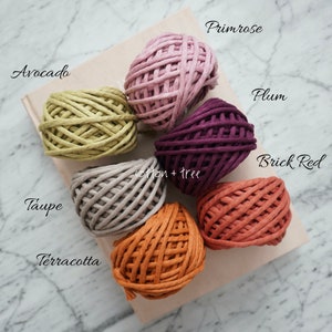 Op de afbeelding: Assortiment van katoenen touw in verschillende kleuren, waaronder avocado, taupe, terracotta, baksteenrood, pruim en primula. Het touw is in een cirkel op een lichtbruin oppervlak gerangschikt.
