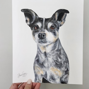Custom Pet Portraits - Hand Illustrated - Animal portraits