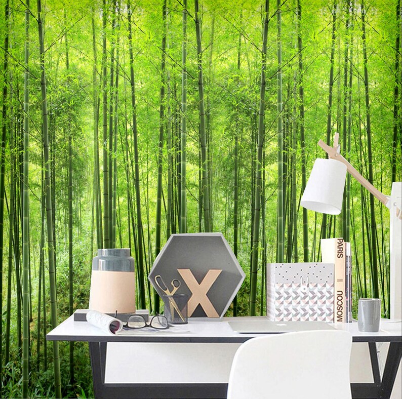 Peel And Stick Wallpaper Remove Bamboo Bedroom Decor Wall | Etsy
