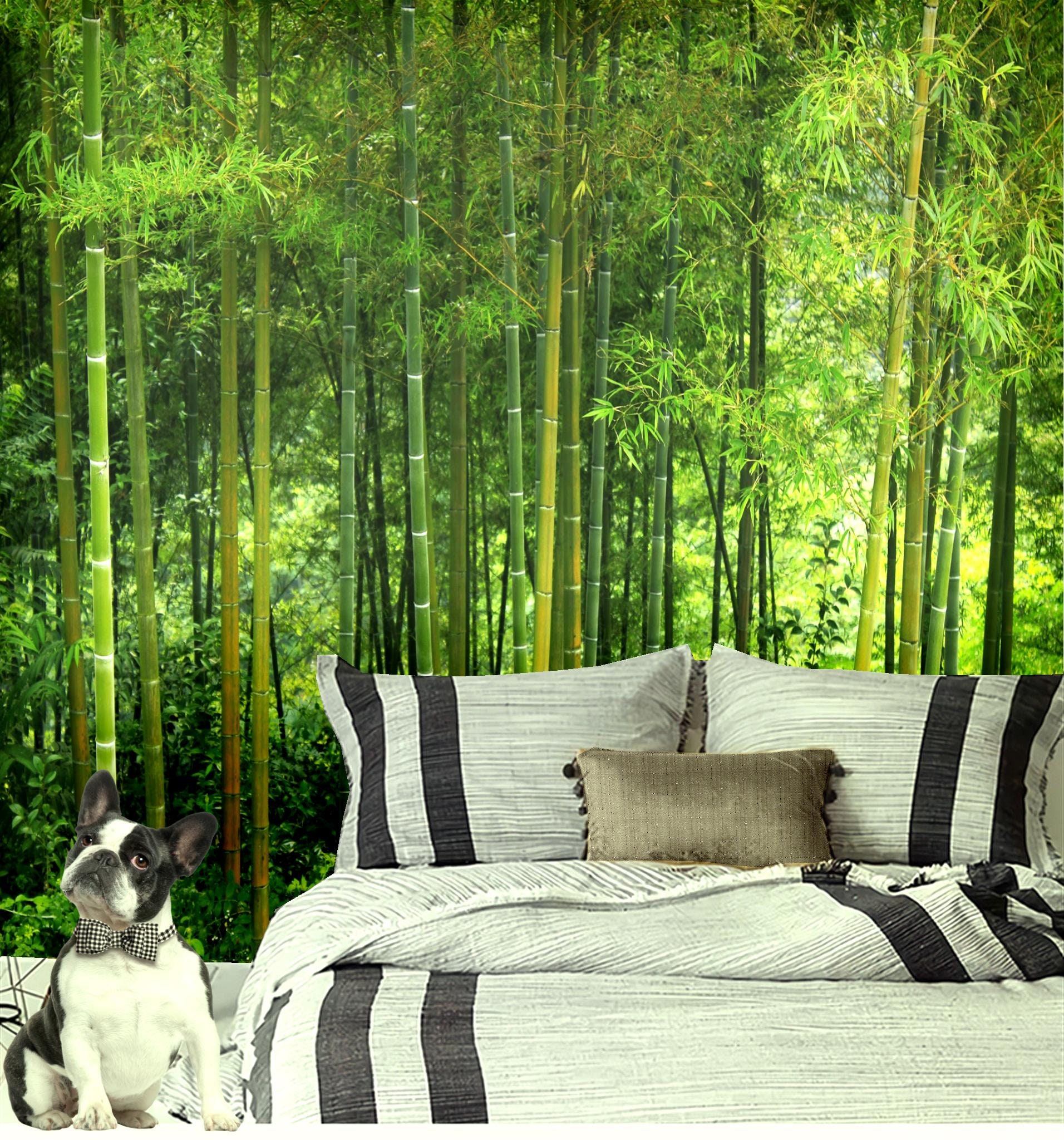 Peel and Stick Wallpaper Self Adhesive Wallpaper Bamboo Wall - Etsy