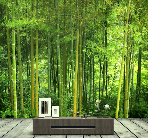 Sticker bambou - Stickers muraux nature, zen, plante