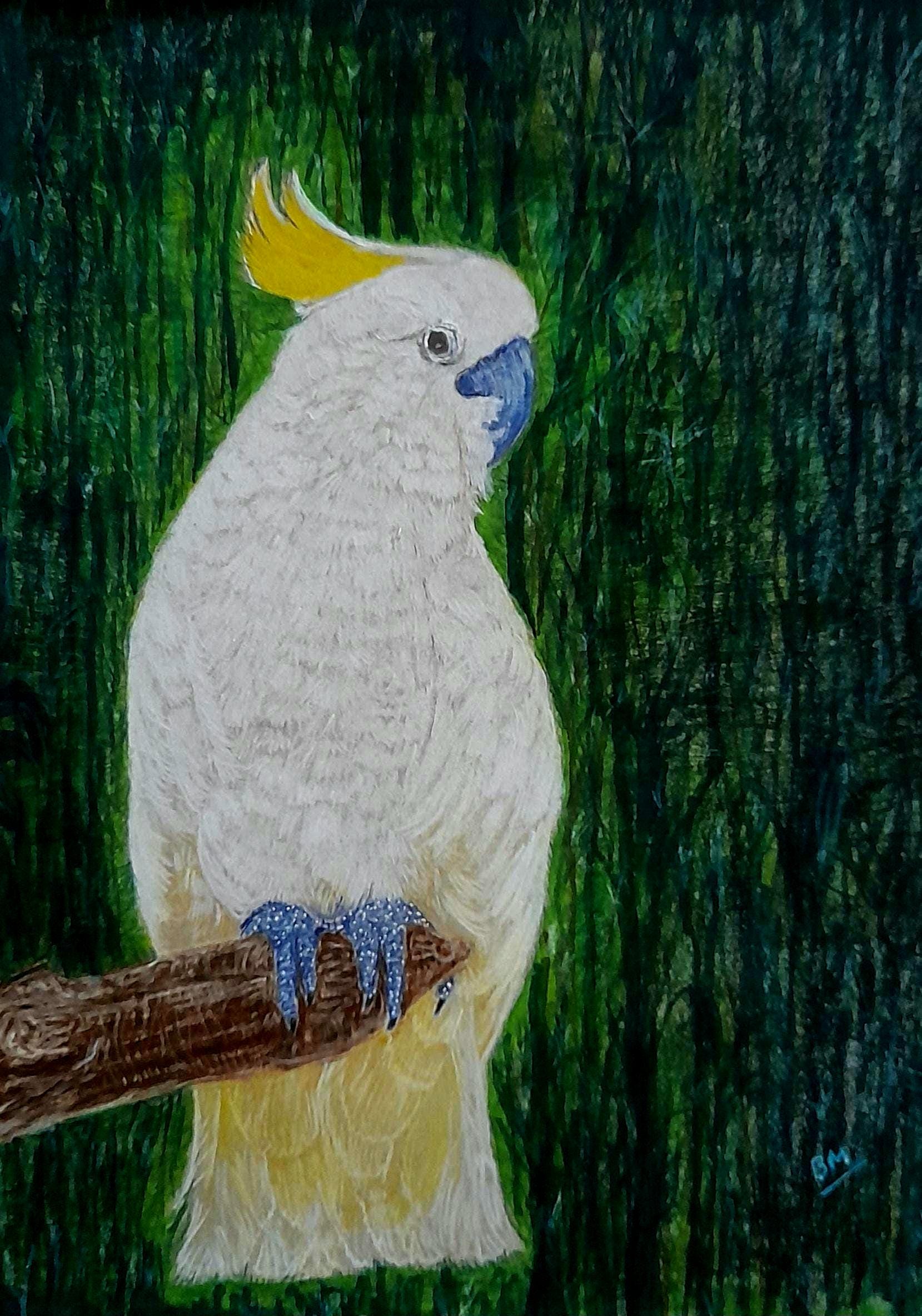 額装されたオウムの絵、オリジナルの鳥のアート - Etsy 日本