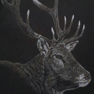 STAG