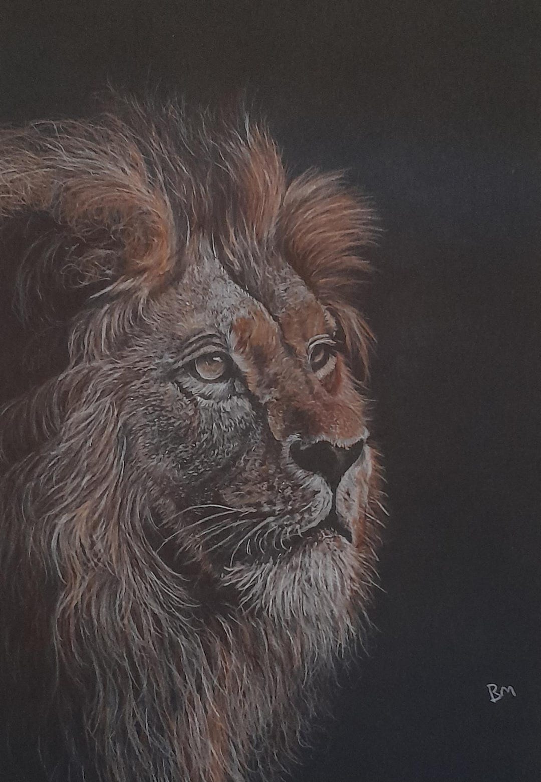 Framed Lion Drawing, Original Art on Toned Paper - Etsy