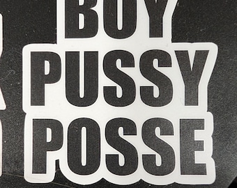 Boy Pussy Posse 3in Stickers