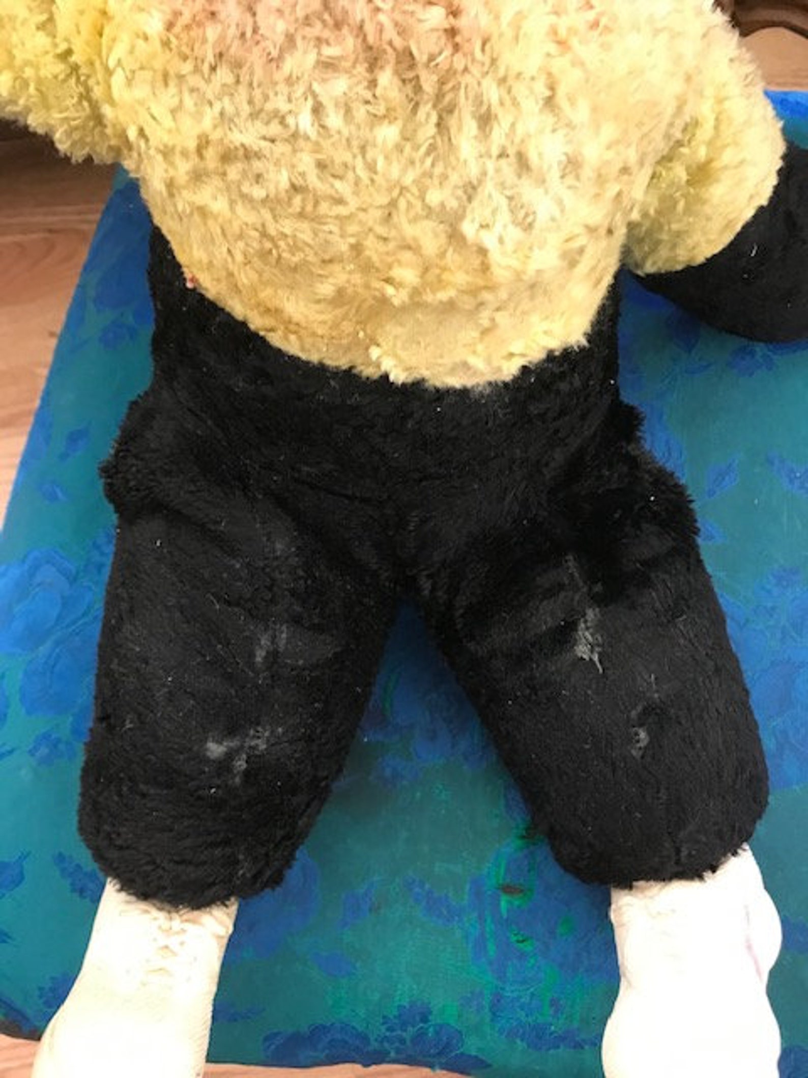 Vintage 50s Large Mr Bim Zip Zippy Monkey Plush Stuffed Animal | Etsy