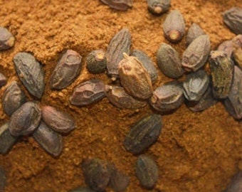 Neem Seeds Powder: Dried Azadirachta Indica Fruit