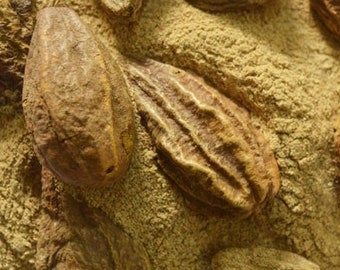 Haritaki Powder: Terminalia Chebula Herbs