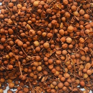Nagkesar Seeds, Mesua Ferrea Linn Raw & Whole Herbs