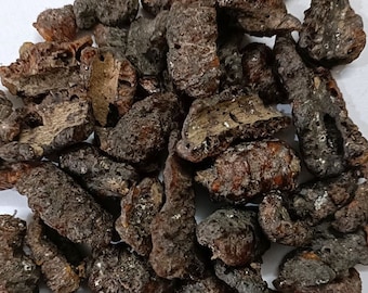 Holy Fig Tree Gum: Ficus Religiosa Whole Herbs