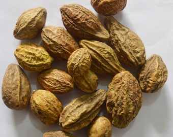 Haritaki Whole: Yellow Terminalia Chebula Herbs