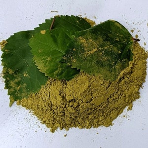 Hibiscus Leaf Powder/Hibiscus Powder/Gudhal Leaves Powder Herbs