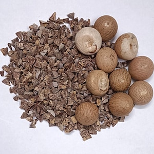 May include: A pile of brown betel nut pieces with a group of whole betel nuts.