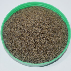 Khareti Seeds: Bala Beej, Country Mallow Herbs