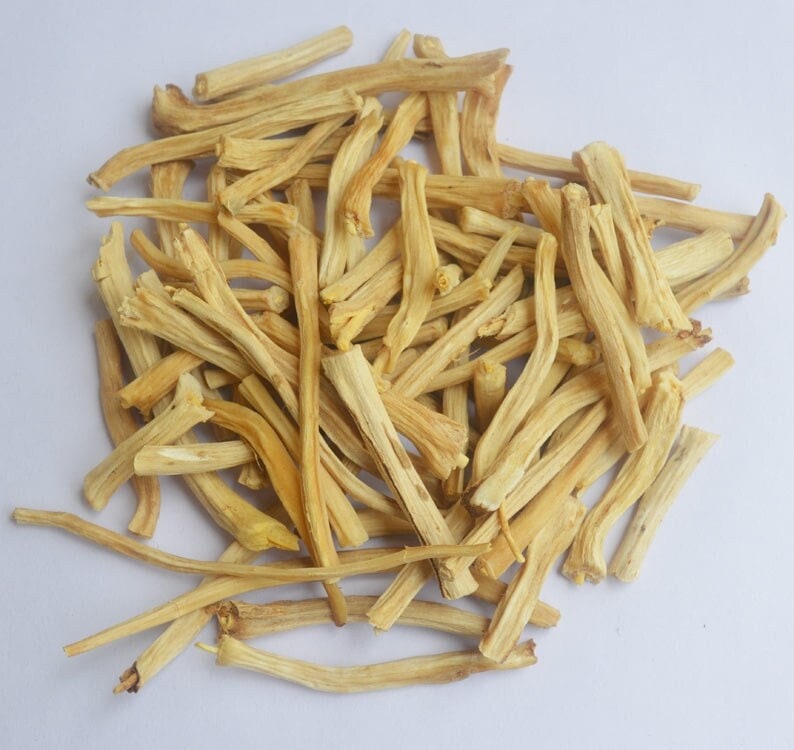 May include: A pile of dried, light brown, thin, and long sticks. The sticks are arranged in a random pattern and are all about the same size.
