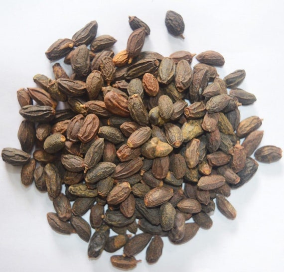 Graines De Neem Bio 100g - Azadirachta Indica, Pour Soins Naturels