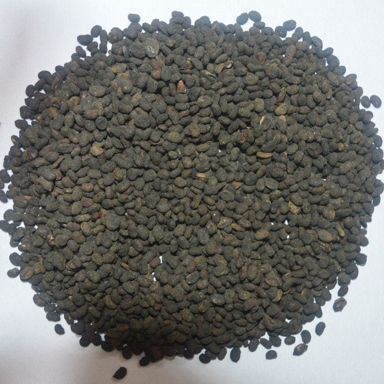 Babchi Seeds: Bakuchi Raw Herbs, Psoralea Corylifolia Seeds - Etsy