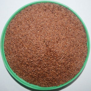 Mimosa Pudica Seeds: Lajwanti Sensitive Plant Seeds