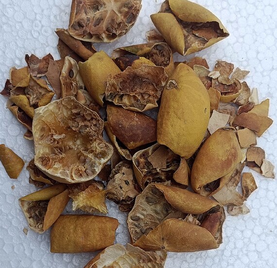 Indrayan Phal Powder: Bitter Apple Colocynth Herbs - Etsy