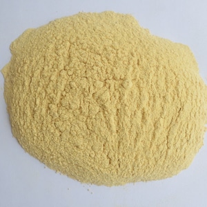 May include: A close-up of a pile of yellow cornmeal.