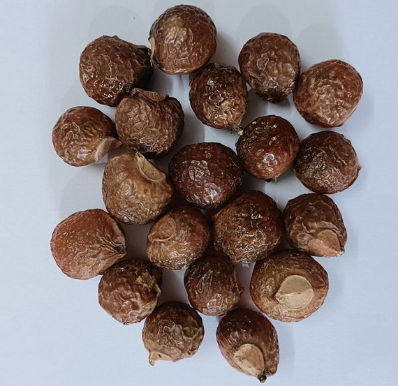 Fruits Aritha Reetha Entiers – Noix De Savon Naturelles Pour Soins Cheveux & Peau