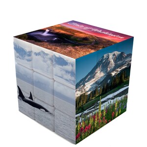 State of Washington Swizzle Cube (Medium)