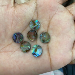 May include: A collection of six iridescent abalone shell round cabochons, each with a unique pattern of blue, green, and gold hues.
