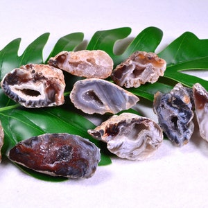 Puede incluir: Una colección de ocho rebanadas de ágata con varios patrones marrones, grises y blancos. Las rebanadas de ágata están dispuestas sobre una hoja verde.