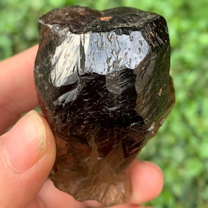 May include: A dark brown, raw smoky quartz crystal with a glossy, reflective surface. The natural gemstone is held in a hand, showcasing its rough, textured facets and earthy tones. The crystal's color ranges from deep brown to a translucent smoky hue.