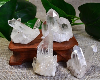 May include: Five clear quartz crystal clusters of varying sizes on a wooden stand. The crystals are arranged in a cluster formation with multiple points.