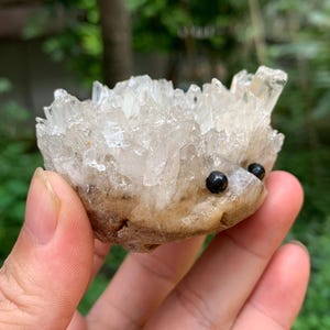 Clear Quartz Hedgehog/Natural Clear White Crystal Cluster/Crystal Sculpture/Crystal Carvings/Gift for Child/Healing Crystal image 5