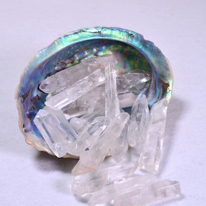 100g Polished clear quartz sticks,natural clear crystals and Abalone Shell, Smudge Bowl, Smudging Bowl, Abalone Seashell,Abalone Shell