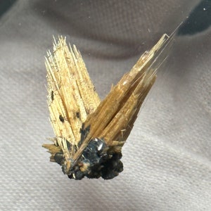 Natural Wing Rutile Quartz Crystal Specimen/Golden Badge Quartz/Star Rutile Collection/Brazil Rutile/Tiny Rutile Quartz Crystal Collection