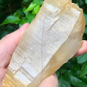 Natural Golden Himalayan Quartz/Golden Lemurian Crystal/Elestial Himalayan Quartz Specimen/Meditation/Healing Crystal 110*59*25mm 170g