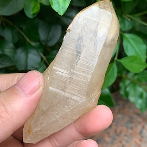 Natural Golden Himalayan Quartz/Golden Lemurian Crystal/Elestial Himalayan Quartz Specimen/Meditation/Healing Crystal 88*33*23mm 73g