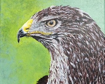 Original Buzzard Painting - Acrylic paint on stretched canvas