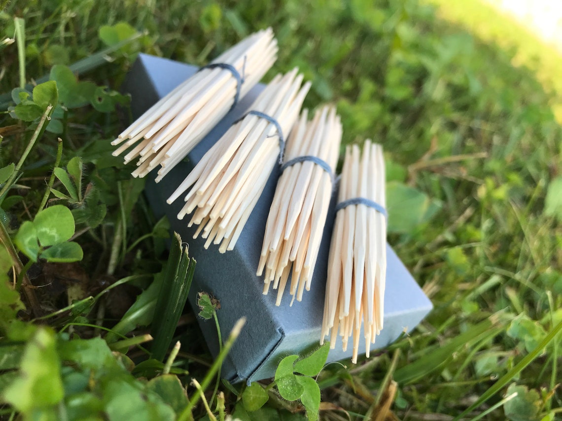 2 toothpicks Clearance