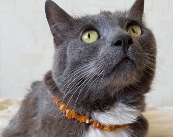 amber cat collar