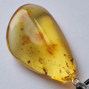 Pendentif insecte fossile en ambre de la Baltique, bijoux en argent 925, pendentif en pierre fossile d&#39;insecte naturel, cadeau de bijoux ambre insecte inclus pour elle