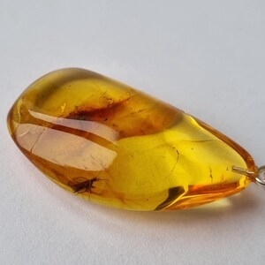 Pendentif insecte fossile en ambre de la Baltique, bijoux en argent 925, pendentif en pierre fossile d&#39;insecte naturel, cadeau de bijoux ambre insecte inclus pour elle