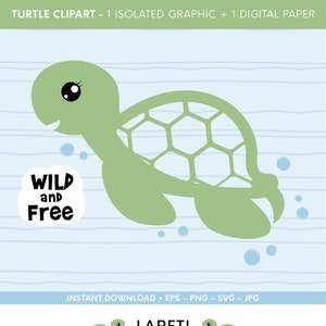 Turtle svg, wild and free vector download, digital download, svg, eps, jpg, png, commercial use, turtle illustration, turtle clip art