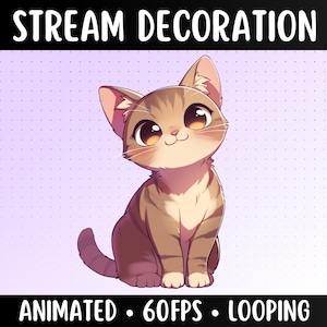 Animated Tabby Cat | Kitty Stream Decoration | Streamer Pet