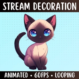 Animated Siamese Cat | Cute Kitten Stream Decoration | Streamer Pet