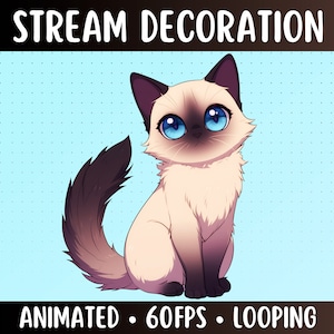 Animated Rag Doll Cat | Cute Kitten Stream Decoration | Streamer Pet