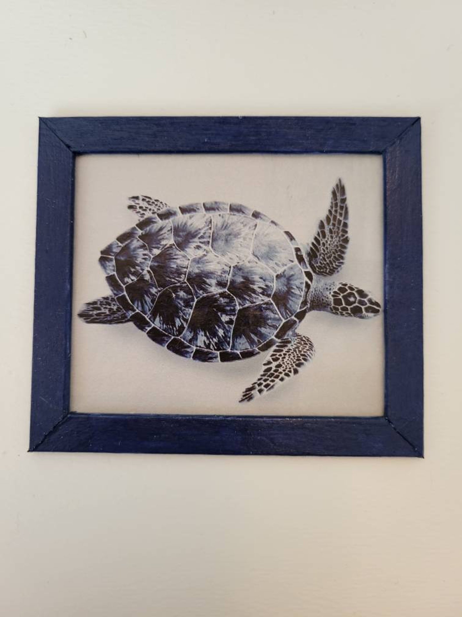 NEW Sea Turtle Framed Art Beach Ocean Turtle Etsy