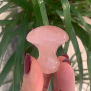 Mushroom Gua Sha in Rose Quartz