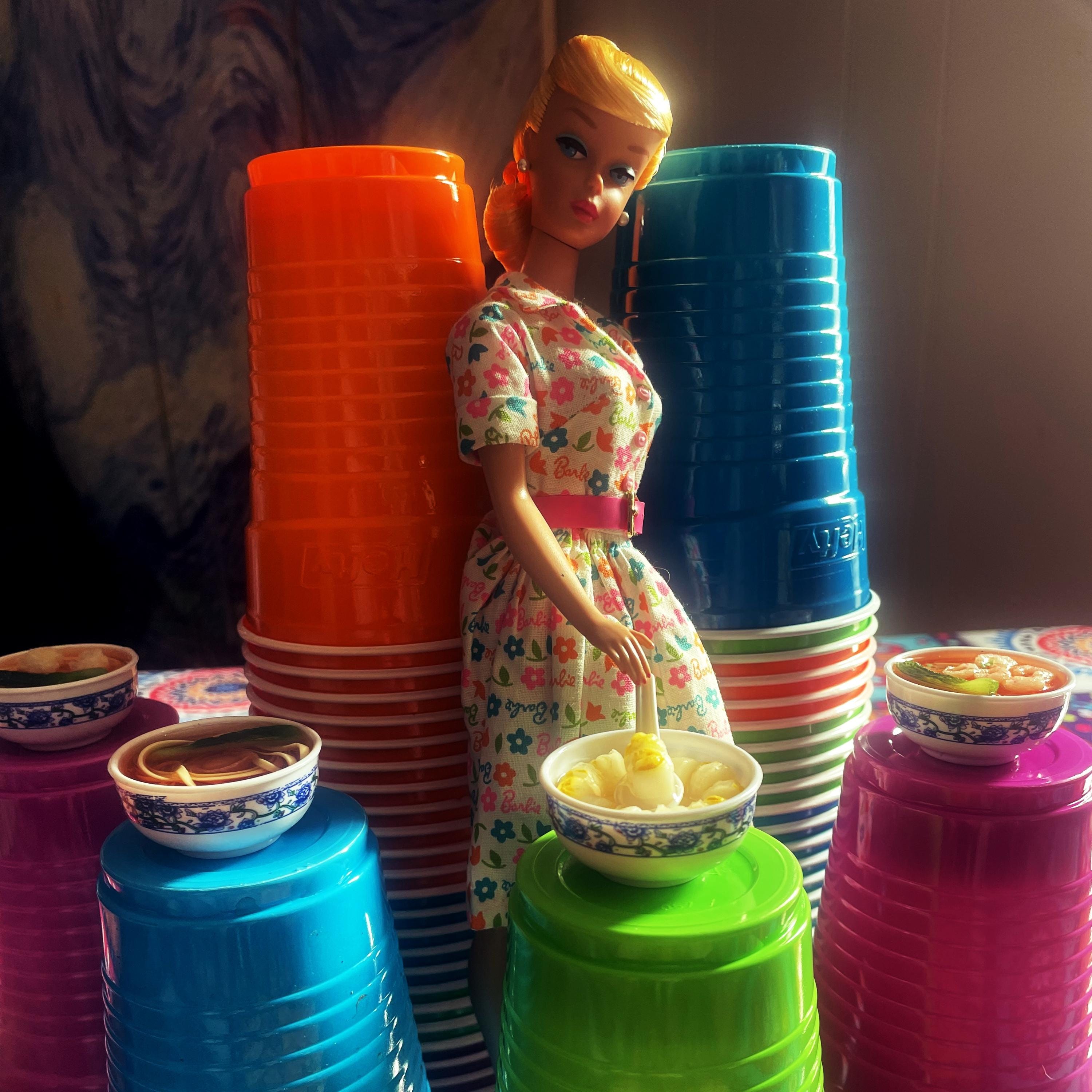 Barbie Learns to Cook Asian Cuisine, Group C, Four Different Meals 