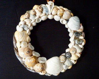 12 inch Collection of Seashells  Wreath; beautifully desiged wall hanging; Beach Decor