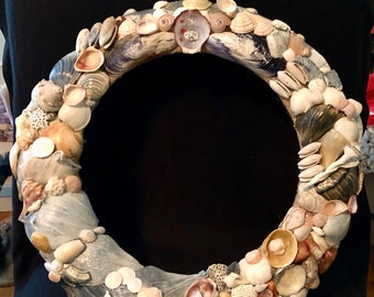 15 inch Whelk Shell Wreath