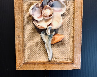 Flower Shell Wall Hooks